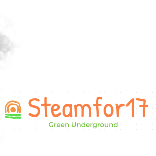 steamfor17