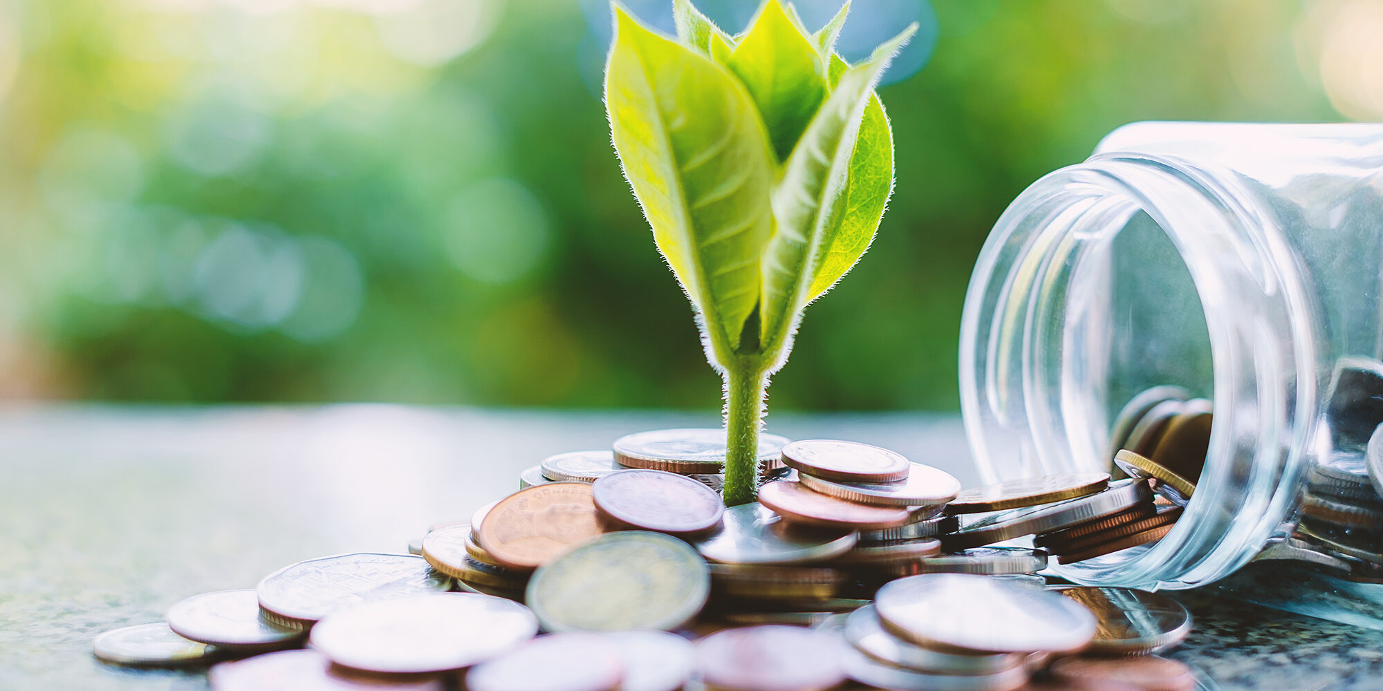 Plant growing from coins outside the glass jar on blurred green natural background for business and financial growth concept