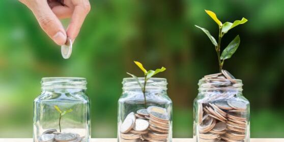 picafc947865e8b59b49e8b1fa66f8913b8