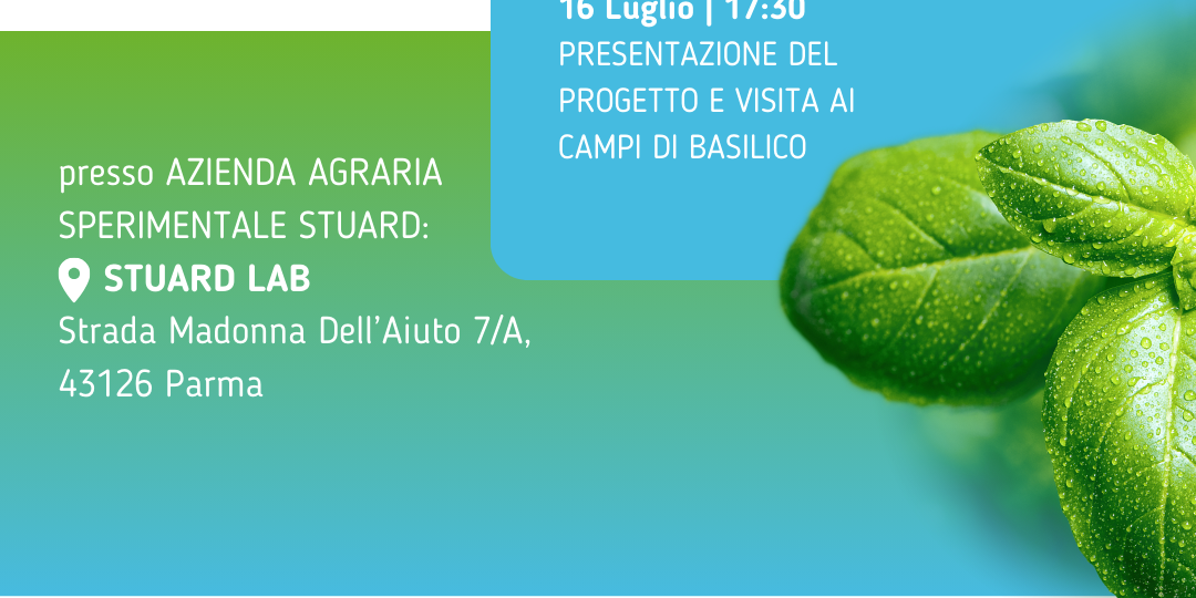 POST INSTAGRAM 2023 (30)