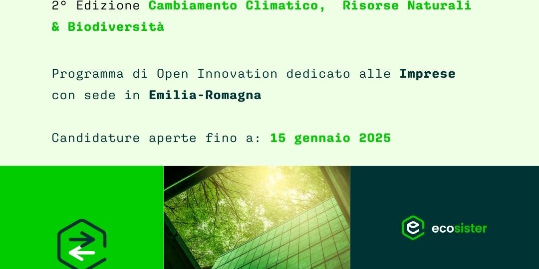 Post Social_Call Imprese 2° edizione