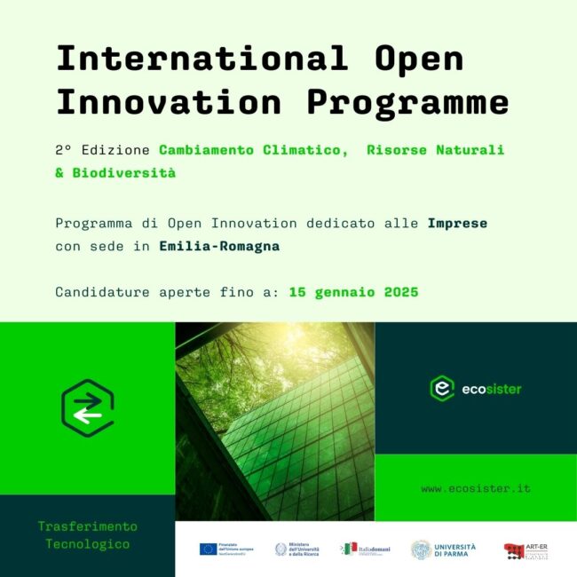 Post Social_Call Imprese 2° edizione